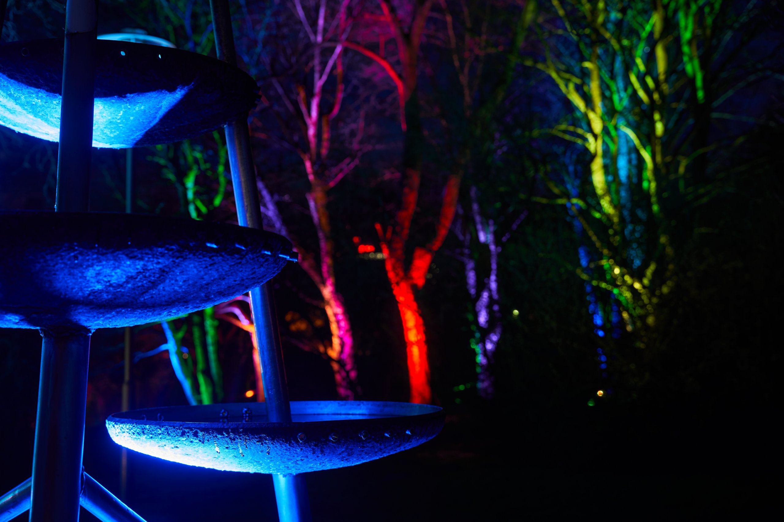 2024 02 23 Parkleuchten 0034